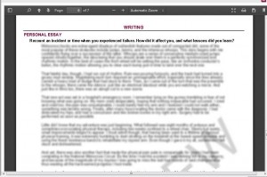 Correctly rendered paragraphs in the Common App-generated preview PDF.  